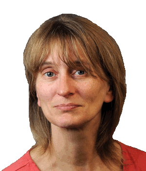 gif-Datei, 256
              Farben